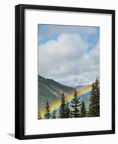 Usa, Washington State, Crystal Mountain. Rainbow in valley through trees.-Merrill Images-Framed Photographic Print