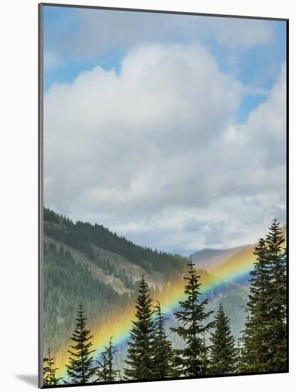 Usa, Washington State, Crystal Mountain. Rainbow in valley through trees.-Merrill Images-Mounted Photographic Print
