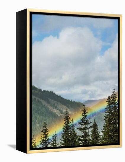 Usa, Washington State, Crystal Mountain. Rainbow in valley through trees.-Merrill Images-Framed Premier Image Canvas