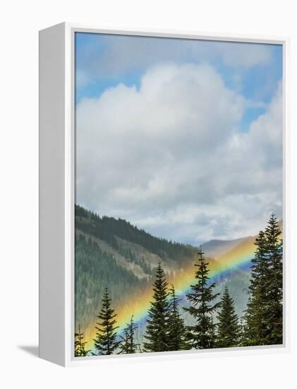 Usa, Washington State, Crystal Mountain. Rainbow in valley through trees.-Merrill Images-Framed Premier Image Canvas