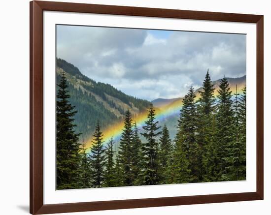 Usa, Washington State, Crystal Mountain. Rainbow in valley through trees.-Merrill Images-Framed Photographic Print