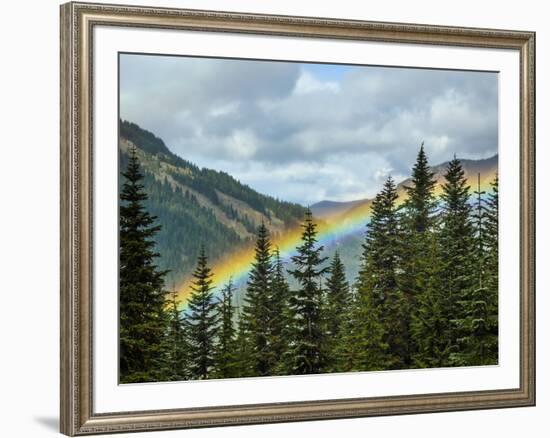 Usa, Washington State, Crystal Mountain. Rainbow in valley through trees.-Merrill Images-Framed Photographic Print