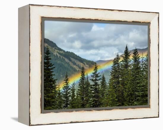 Usa, Washington State, Crystal Mountain. Rainbow in valley through trees.-Merrill Images-Framed Premier Image Canvas