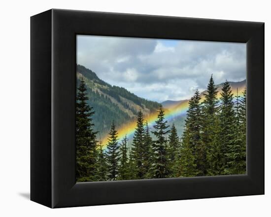 Usa, Washington State, Crystal Mountain. Rainbow in valley through trees.-Merrill Images-Framed Premier Image Canvas
