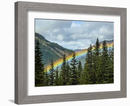 Usa, Washington State, Crystal Mountain. Rainbow in valley through trees.-Merrill Images-Framed Photographic Print