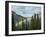 Usa, Washington State, Crystal Mountain. Rainbow in valley through trees.-Merrill Images-Framed Photographic Print