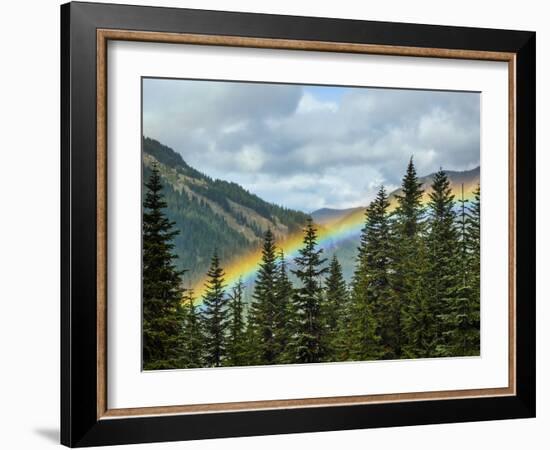 Usa, Washington State, Crystal Mountain. Rainbow in valley through trees.-Merrill Images-Framed Photographic Print