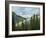 Usa, Washington State, Crystal Mountain. Rainbow in valley through trees.-Merrill Images-Framed Photographic Print