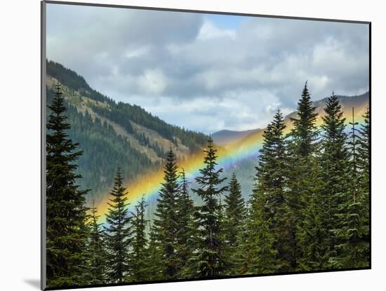 Usa, Washington State, Crystal Mountain. Rainbow in valley through trees.-Merrill Images-Mounted Photographic Print