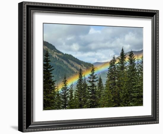 Usa, Washington State, Crystal Mountain. Rainbow in valley through trees.-Merrill Images-Framed Photographic Print