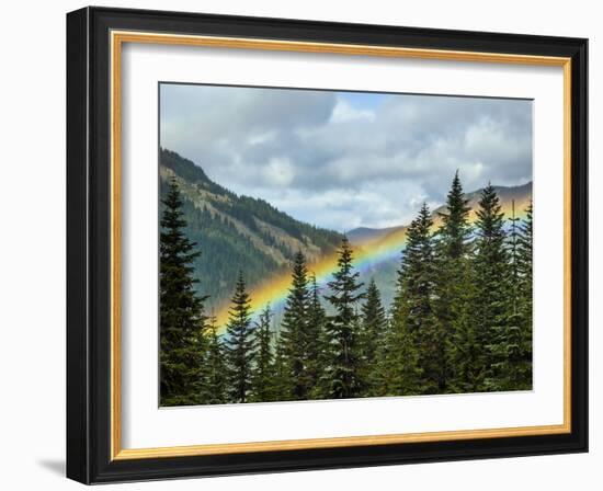 Usa, Washington State, Crystal Mountain. Rainbow in valley through trees.-Merrill Images-Framed Photographic Print