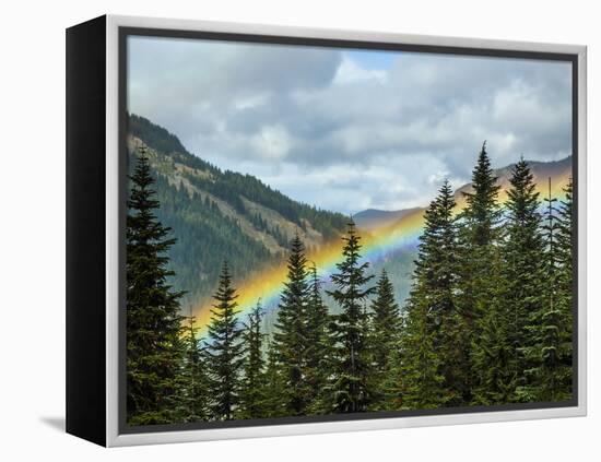 Usa, Washington State, Crystal Mountain. Rainbow in valley through trees.-Merrill Images-Framed Premier Image Canvas