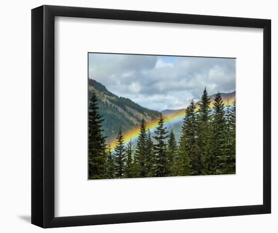 Usa, Washington State, Crystal Mountain. Rainbow in valley through trees.-Merrill Images-Framed Photographic Print