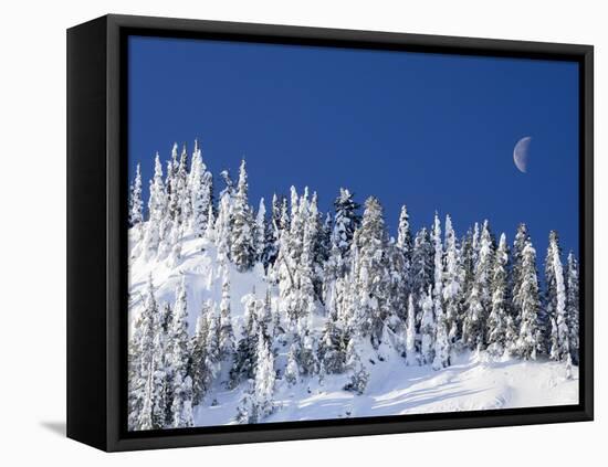 Usa, Washington State, Crystal Mountain. Snow covered trees and moon in blue sky.-Merrill Images-Framed Premier Image Canvas