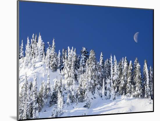 Usa, Washington State, Crystal Mountain. Snow covered trees and moon in blue sky.-Merrill Images-Mounted Photographic Print