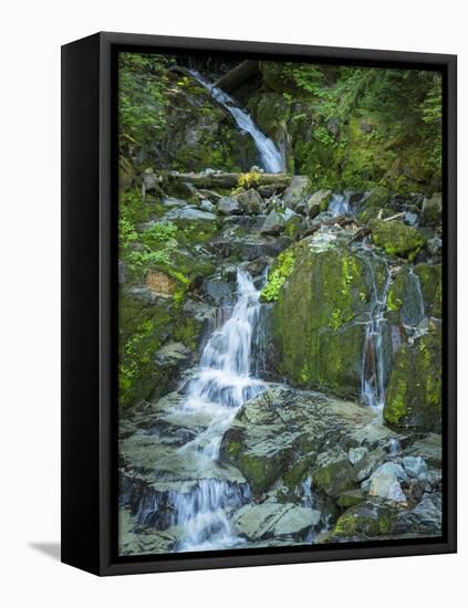 Usa, Washington State, Crystal Mountain. Waterfall at Elizabeth Creek with moss on boulders.-Merrill Images-Framed Premier Image Canvas