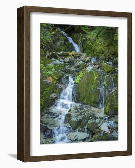 Usa, Washington State, Crystal Mountain. Waterfall at Elizabeth Creek with moss on boulders.-Merrill Images-Framed Photographic Print