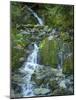 Usa, Washington State, Crystal Mountain. Waterfall at Elizabeth Creek with moss on boulders.-Merrill Images-Mounted Photographic Print