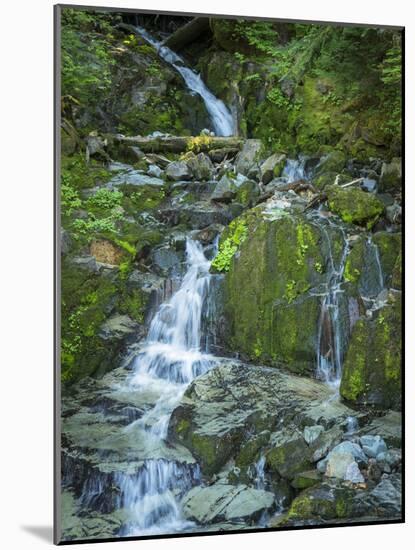 Usa, Washington State, Crystal Mountain. Waterfall at Elizabeth Creek with moss on boulders.-Merrill Images-Mounted Photographic Print