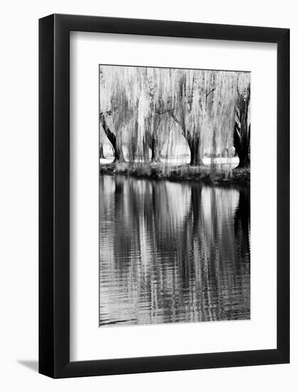 USA, Washington State, Eastern Washington. Weeping willow tree reflecting in pond-Terry Eggers-Framed Photographic Print