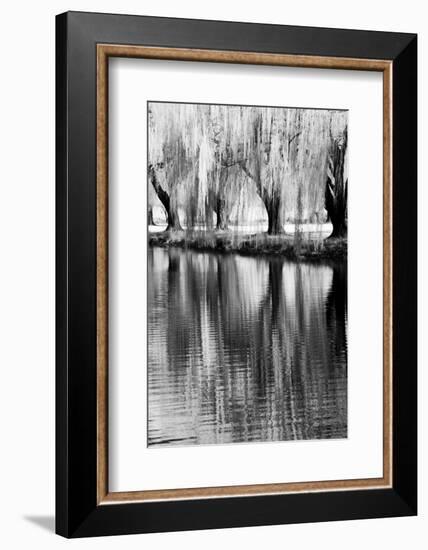 USA, Washington State, Eastern Washington. Weeping willow tree reflecting in pond-Terry Eggers-Framed Photographic Print