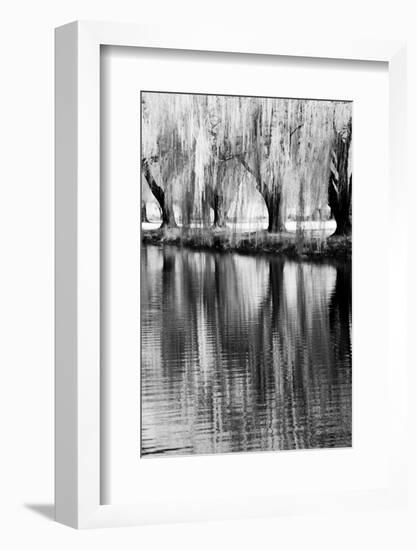 USA, Washington State, Eastern Washington. Weeping willow tree reflecting in pond-Terry Eggers-Framed Photographic Print