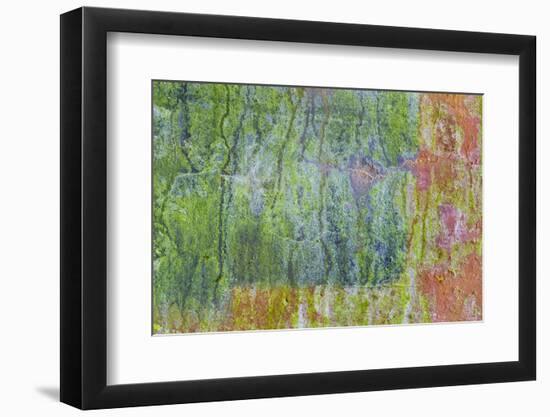 USA, Washington State, Fort Hayden. Abstract Details of Painted Wall-Don Paulson-Framed Photographic Print