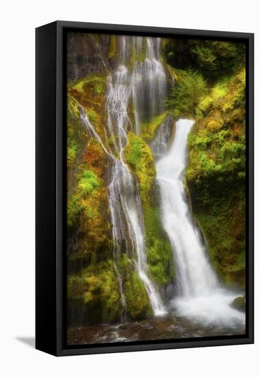 USA, Washington State, Gifford Pinchot National Forest. Panther Creek Falls along Panther Creek.-Christopher Reed-Framed Premier Image Canvas