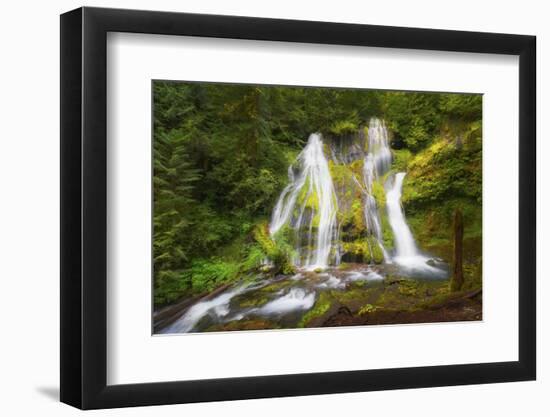 USA, Washington State, Gifford Pinchot National Forest. Panther Creek Falls along Panther Creek.-Christopher Reed-Framed Photographic Print