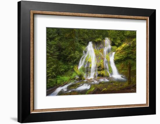 USA, Washington State, Gifford Pinchot National Forest. Panther Creek Falls along Panther Creek.-Christopher Reed-Framed Photographic Print