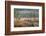 USA, Washington State, Gold Creek Beaver Pond. Winter panoramic of marsh and forest.-Jaynes Gallery-Framed Photographic Print