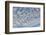 USA, Washington State. Mackerel sky makes compelling patterns in bright blue sky-Trish Drury-Framed Photographic Print