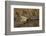 USA, Washington State. Male Mallard flying over a pond on Union Bay in Seattle.-Gary Luhm-Framed Photographic Print