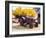 USA, Washington State, Molson, Okanogan County. Rusty old tractor in the historic ghost town.-Julie Eggers-Framed Photographic Print