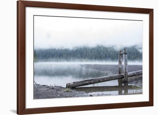 USA, Washington State, Mt. Baker Snoqualmie National Forest. Morning fog Horseshoe Cove Campground -Trish Drury-Framed Photographic Print