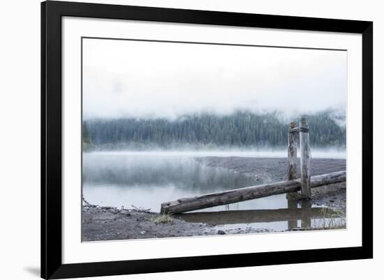 USA, Washington State, Mt. Baker Snoqualmie National Forest. Morning fog Horseshoe Cove Campground -Trish Drury-Framed Photographic Print