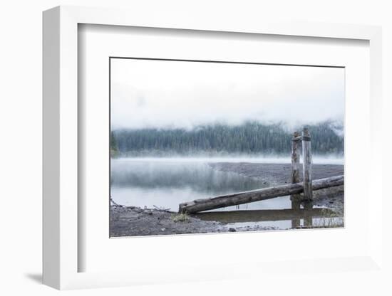 USA, Washington State, Mt. Baker Snoqualmie National Forest. Morning fog Horseshoe Cove Campground -Trish Drury-Framed Photographic Print