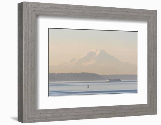 USA, Washington State. Mt. Rainier in morning light. Calm Puget Sound ferry crossing-Trish Drury-Framed Photographic Print