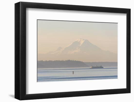 USA, Washington State. Mt. Rainier in morning light. Calm Puget Sound ferry crossing-Trish Drury-Framed Photographic Print