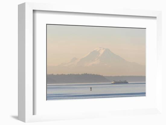 USA, Washington State. Mt. Rainier in morning light. Calm Puget Sound ferry crossing-Trish Drury-Framed Photographic Print