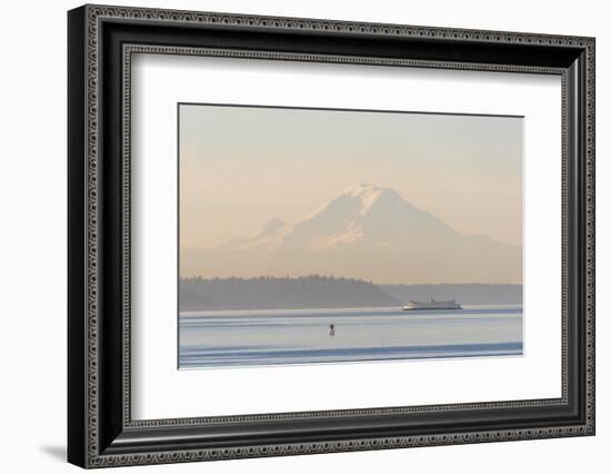 USA, Washington State. Mt. Rainier in morning light. Calm Puget Sound ferry crossing-Trish Drury-Framed Photographic Print