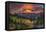 USA, Washington State, Mt. Rainier National Park at sunrise.-Jaynes Gallery-Framed Premier Image Canvas