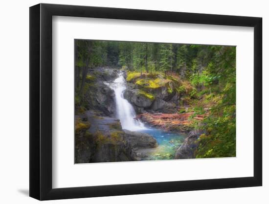 USA, Washington State, Mt. Rainier National Park. Silver Falls on the Ohanapecosh River.-Christopher Reed-Framed Photographic Print