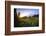 USA, Washington State, Mt Rainier NP. Sunset on mountain wildflowers.-Jaynes Gallery-Framed Photographic Print