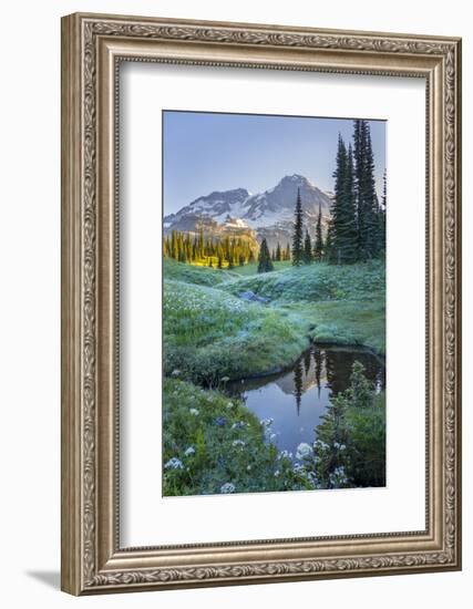 USA. Washington State. Mt. Rainier reflected in tarn amid wildflowers, Mt. Rainier National Park.-Gary Luhm-Framed Photographic Print