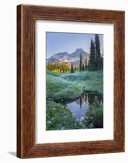 USA. Washington State. Mt. Rainier reflected in tarn amid wildflowers, Mt. Rainier National Park.-Gary Luhm-Framed Photographic Print