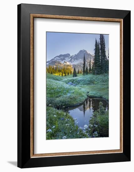 USA. Washington State. Mt. Rainier reflected in tarn amid wildflowers, Mt. Rainier National Park.-Gary Luhm-Framed Photographic Print