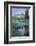 USA. Washington State. Mt. Rainier reflected in tarn amid wildflowers, Mt. Rainier National Park.-Gary Luhm-Framed Photographic Print