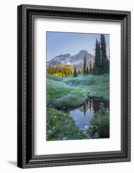 USA. Washington State. Mt. Rainier reflected in tarn amid wildflowers, Mt. Rainier National Park.-Gary Luhm-Framed Photographic Print