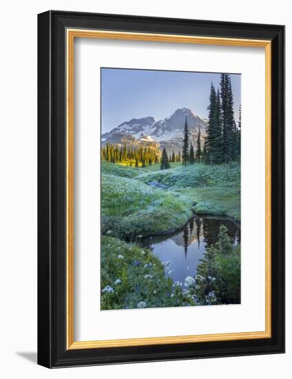 USA. Washington State. Mt. Rainier reflected in tarn amid wildflowers, Mt. Rainier National Park.-Gary Luhm-Framed Photographic Print